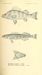 n614_w1150