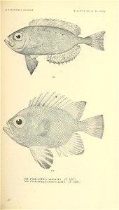 n674_w1150