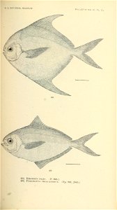 n584_w1150