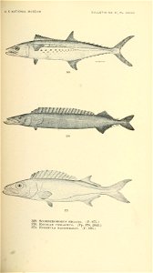 n554_w1150