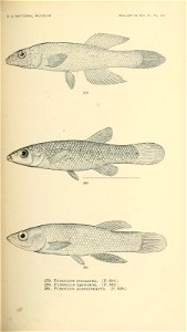 n494_w1150