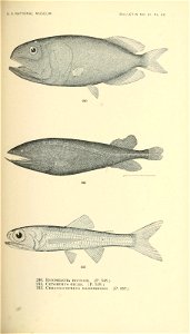 n464_w1150