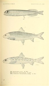 n434_w1150