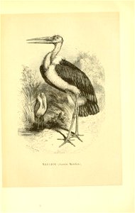 n465_w1150