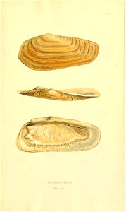 n176_w1150