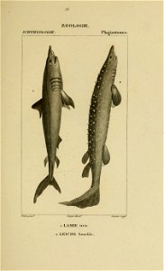 n168_w1150