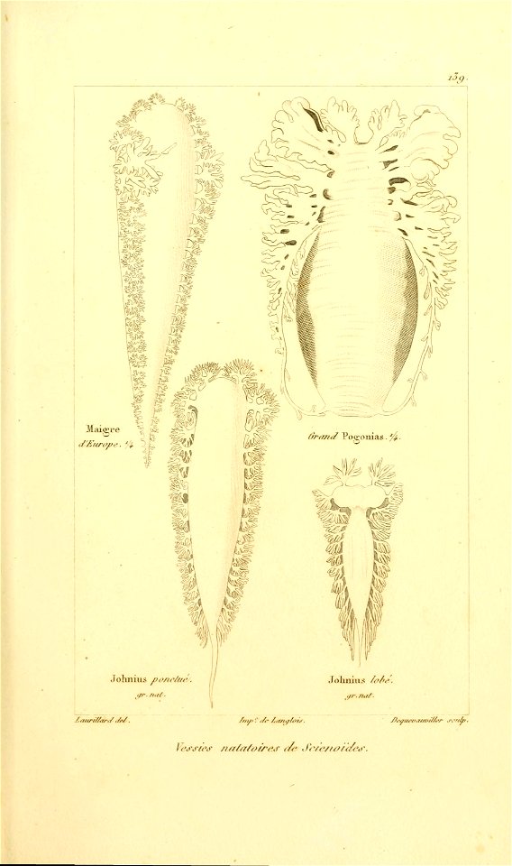 n256_w1150