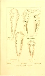 n256_w1150