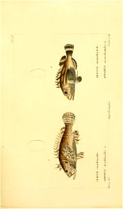 n166_w1150