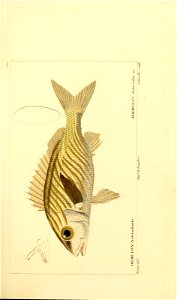 n222_w1150