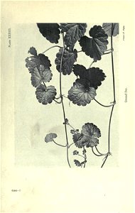 n114_w1150