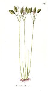 n163_w1150