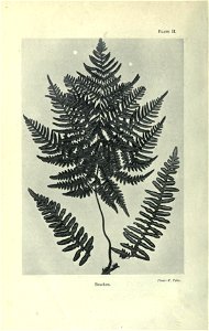 n25_w1150