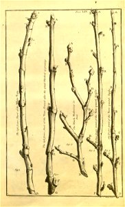 n209_w1150
