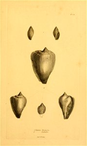n132_w1150