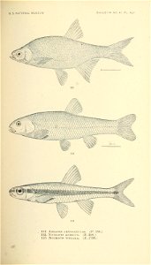 n374_w1150