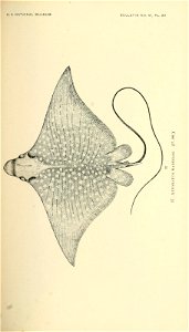 n314_w1150