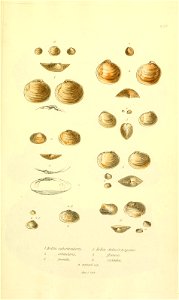 n178_w1150