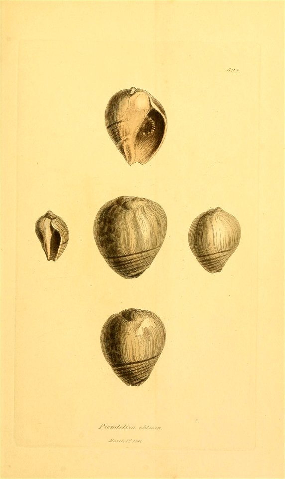 n148_w1150