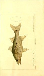 n16_w1150