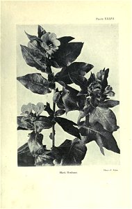 n120_w1150