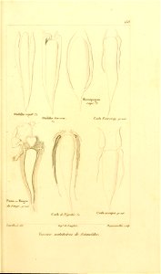 n254_w1150