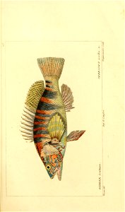 n44_w1150
