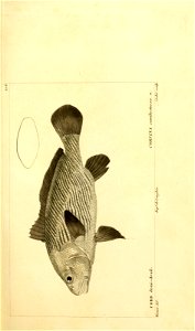 n192_w1150