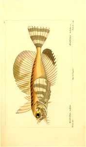 n162_w1150
