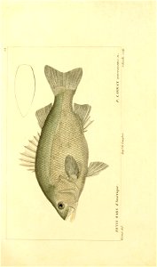 n12_w1150