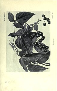 n116_w1150