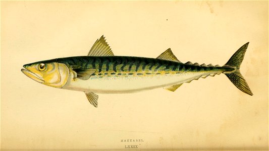 n121_w1150