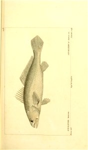 n186_w1150