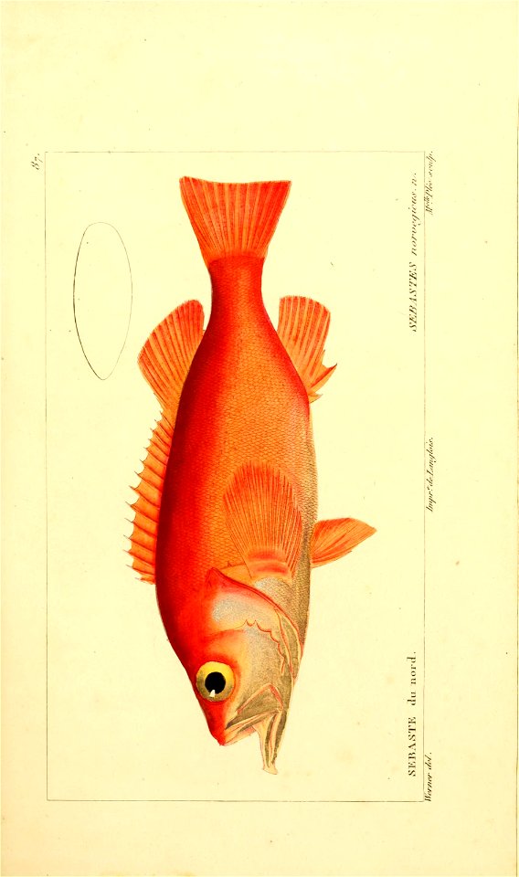 n156_w1150