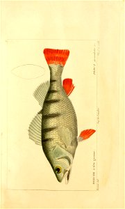 n6_w1150