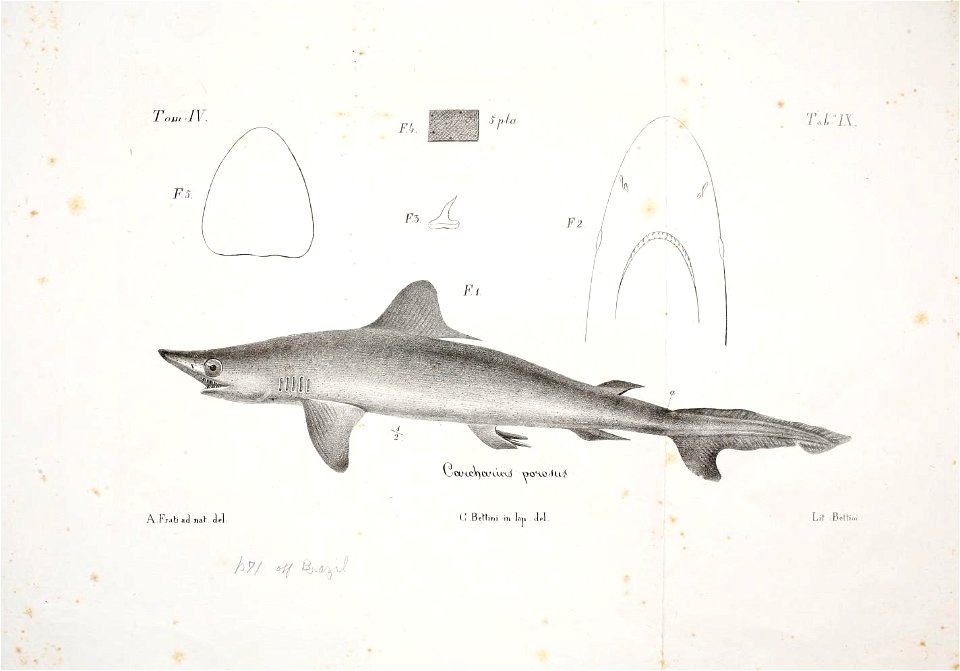 n34_w1150