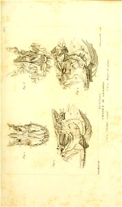 n258_w1150