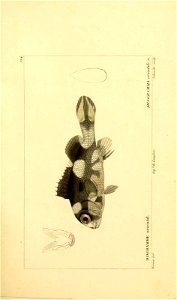 n228_w1150