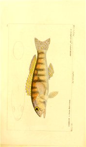 n48_w1150