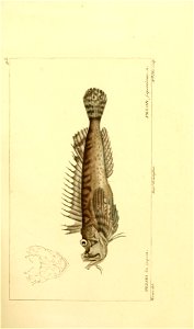 n168_w1150