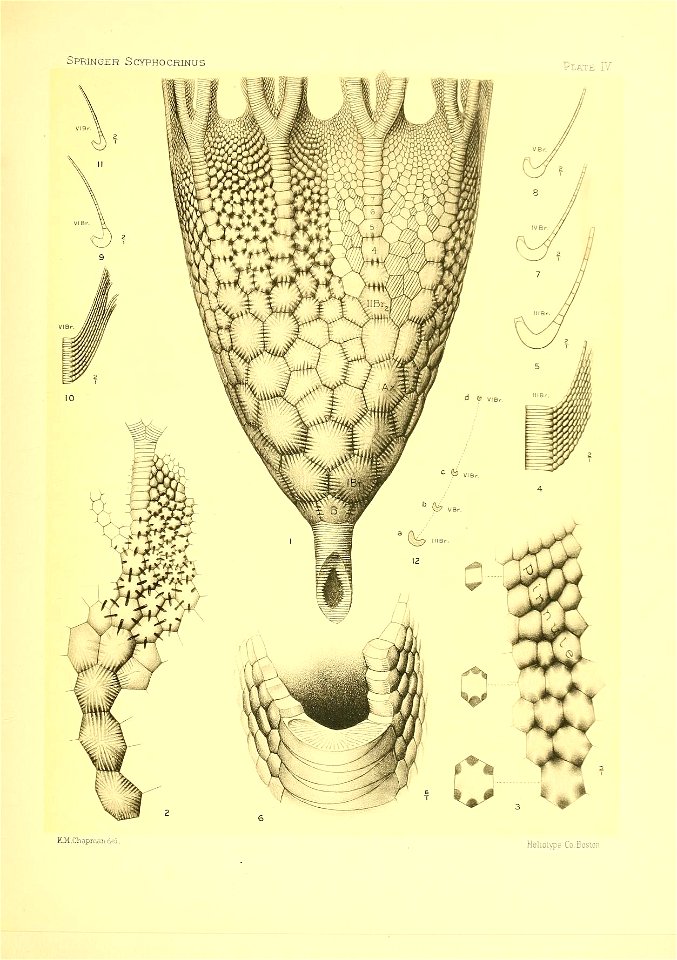 n82_w1150