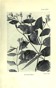 n110_w1150