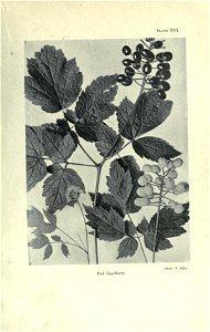 n68_w1150