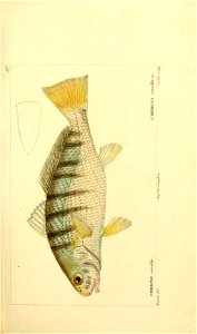 n214_w1150