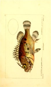n154_w1150