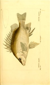 n94_w1150