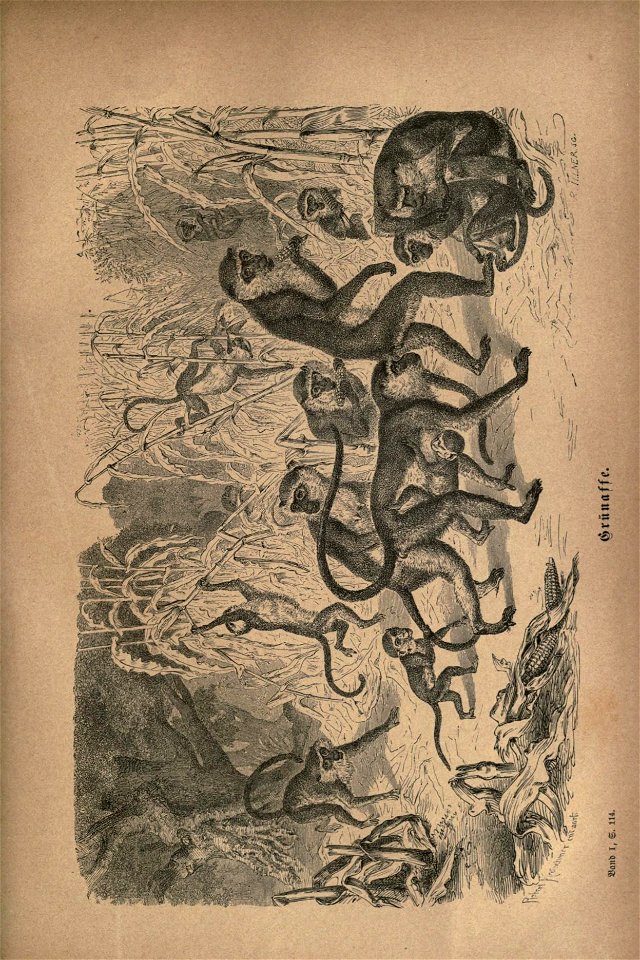 n146_w1150