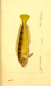 n110_w1150