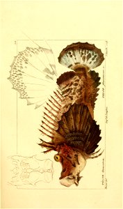 n170_w1150