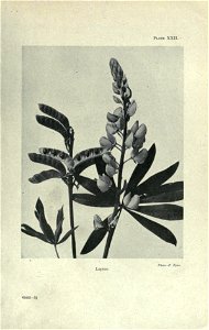 n82_w1150